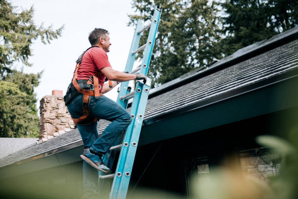 Best Steel Roofing  in London, OH